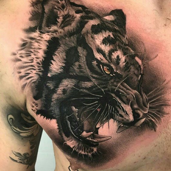Hình xăm hổ trên ngực, phong cách blackwork chi tiết, độ phân giải HD.