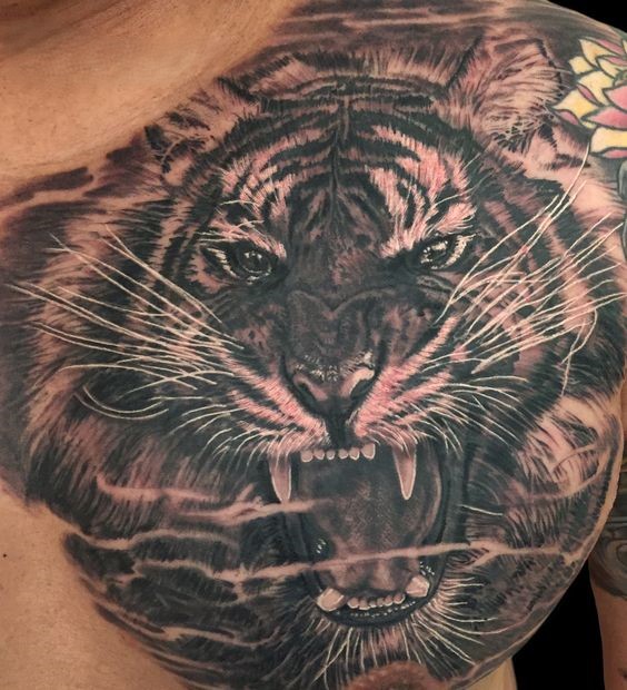 Hình xăm hổ trên ngực, phong cách blackwork chi tiết, độ phân giải HD.