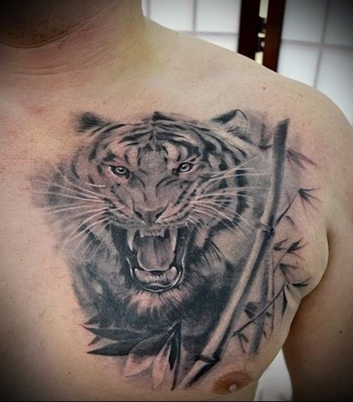 Hình xăm hổ trên ngực, phong cách blackwork, chi tiết rõ nét, ảnh chất lượng cao.