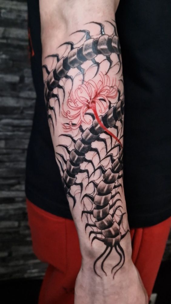 Hình xăm rết và hoa trên cánh tay, phong cách blackwork, chi tiết, độ phân giải HD.
