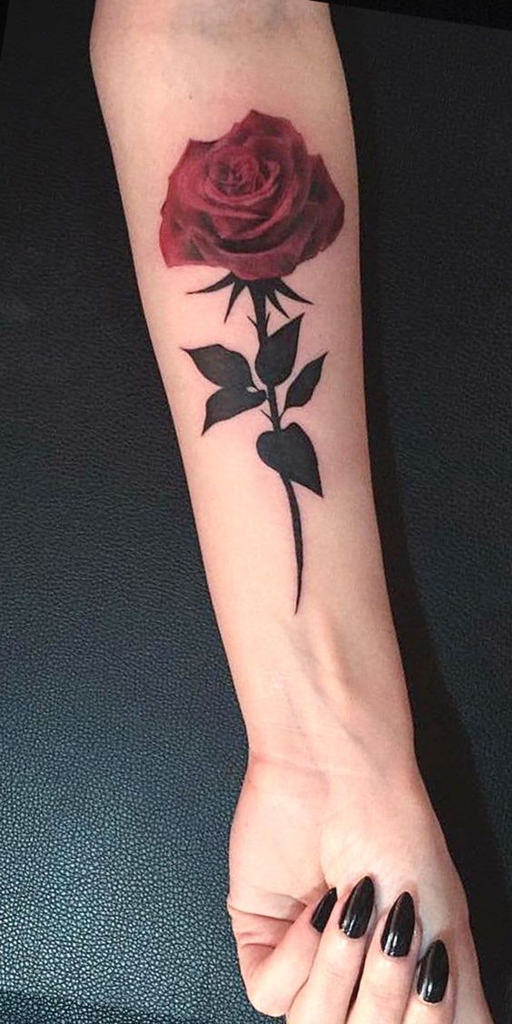 Hình xăm hoa hồng dành cho nữ ở cánh tay Hình xăm hoa hồng đỏ trên cánh tay, phong cách blackwork, chi tiết sắc nét, ảnh HD.