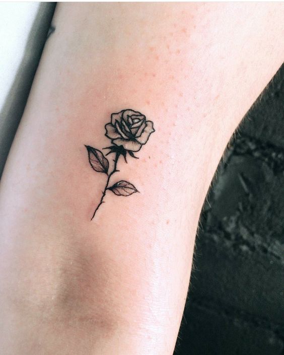hình xăm hoa hồng đen mini đầy lộng lẫy Hình xăm hoa hồng mini trên tay, phong cách blackwork, chi tiết rõ nét, ảnh HD.
