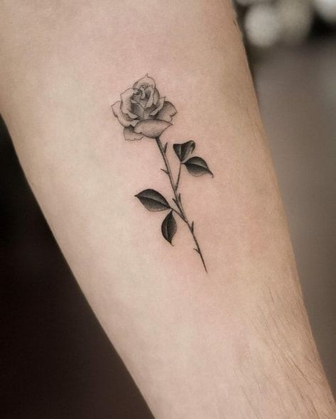 hình xăm hoa hồng đen mini thật quyến rũ Hình xăm hoa hồng trên cánh tay, phong cách blackwork, chi tiết rõ nét, độ phân giải HD.