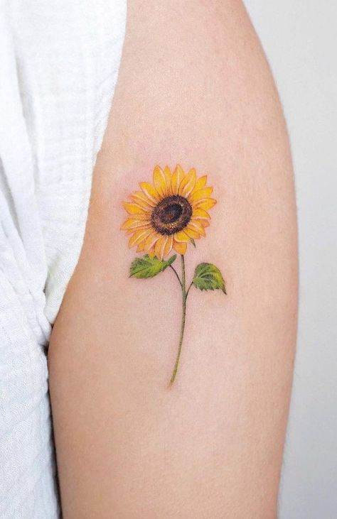 Hình xăm hoa hướng dương mini điệu đà Hình xăm hoa hướng dương mini trên cánh tay, phong cách màu nước, chi tiết tinh tế, ảnh độ phân giải cao.