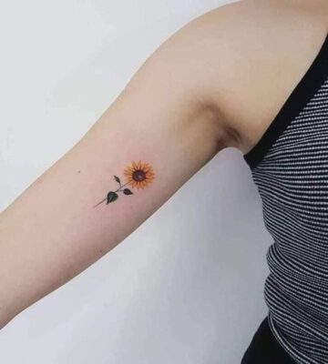 hình xăm hoa hướng dương ở bắp tay Hình xăm hoa hướng dương mini trên cánh tay, phong cách màu nước, độ chi tiết cao, ảnh HD.