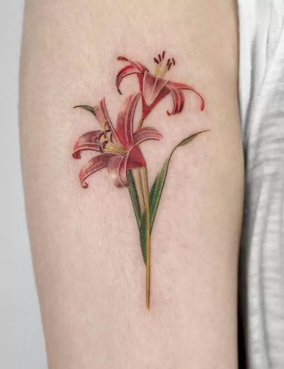 Hình xăm hoa lily mini chứa đựng sức sống mãnh liệt Hình xăm hoa ly màu nước trên cánh tay, phong cách tinh tế, ảnh HD chi tiết.