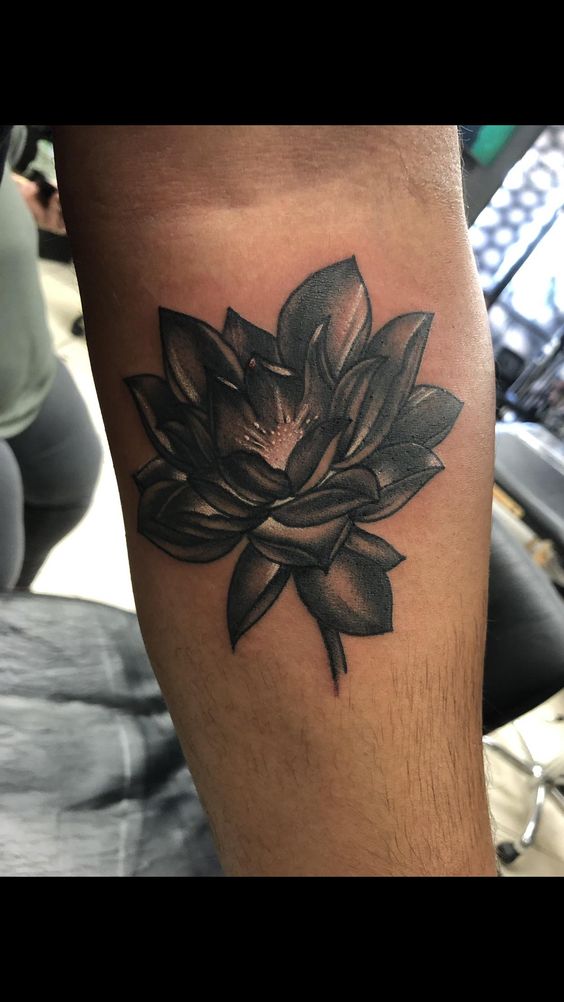 hình xăm hoa sen đơn sắc Hình xăm hoa sen trên tay, phong cách blackwork, chi tiết rõ nét, ảnh HD.