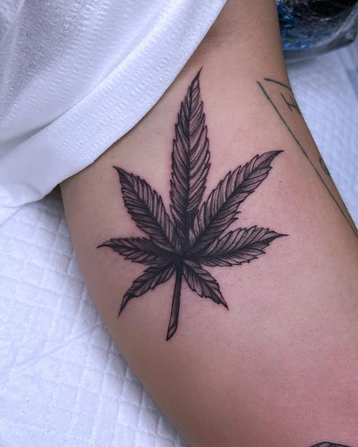 Hình xăm lá cây trên tay, phong cách blackwork chi tiết, ảnh chất lượng HD.