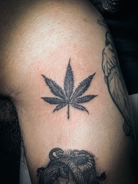 Hình xăm lá cần sa trên cánh tay, phong cách blackwork, chi tiết rõ nét, độ phân giải HD.