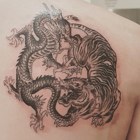 hình xăm long tranh hổ đấu đơn sắc ở lưng Hình xăm rồng và hổ trên vai, phong cách blackwork chi tiết, ảnh HD.