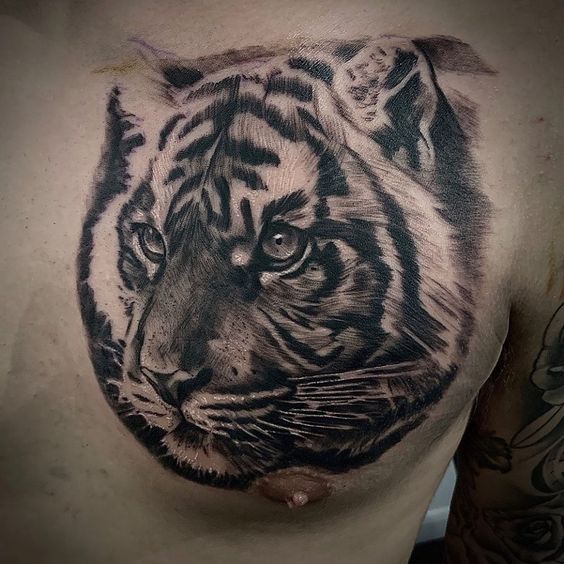 Hình xăm hổ phong cách blackwork trên ngực, chi tiết cao, độ phân giải HD.