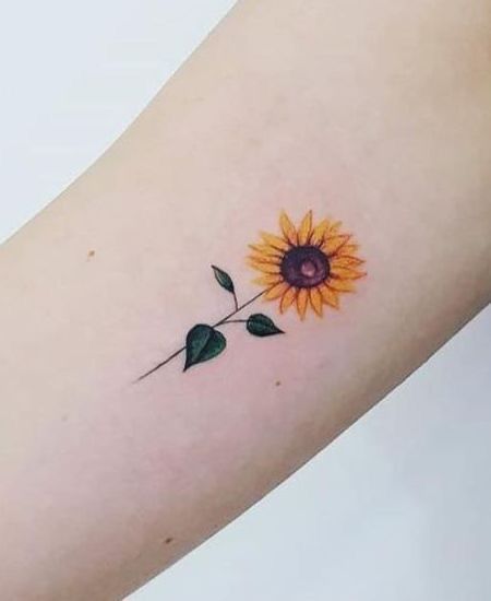 Hình xăm mini hoa hướng dương tinh khiết Hình xăm hoa hướng dương nhỏ trên cánh tay, phong cách màu sắc tinh tế, độ chi tiết cao, ảnh HD.