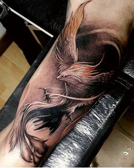 Hình xăm phượng hoàng đơn sắc ở bắp tay Hình xăm phượng hoàng trên tay, phong cách blackwork, chi tiết tinh xảo, ảnh HD.