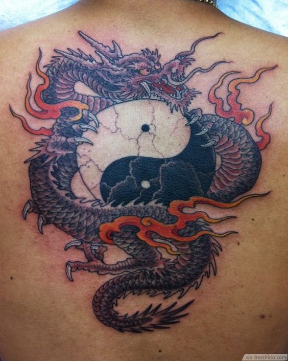 Hình xăm rồng và âm dương trên lưng, phong cách màu sắc, chi tiết cao, ảnh HD.