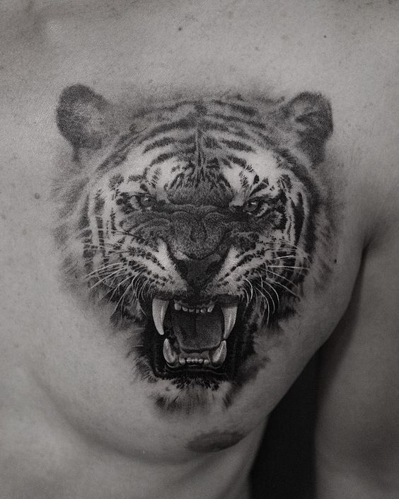 Hình xăm đầu hổ chi tiết trên ngực, phong cách blackwork, hình ảnh chất lượng cao.