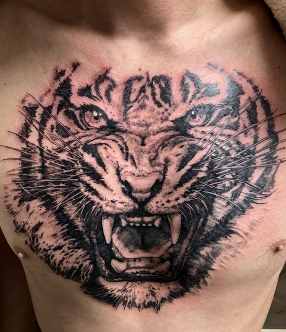 Hình xăm hổ trên ngực, phong cách blackwork, chi tiết sắc nét, độ phân giải cao.