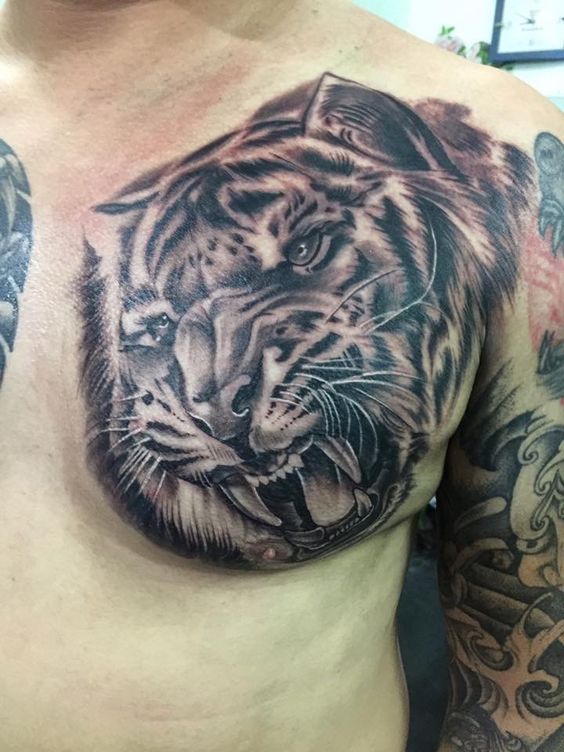 Hình xăm hổ trên ngực, phong cách blackwork chi tiết, độ phân giải HD.