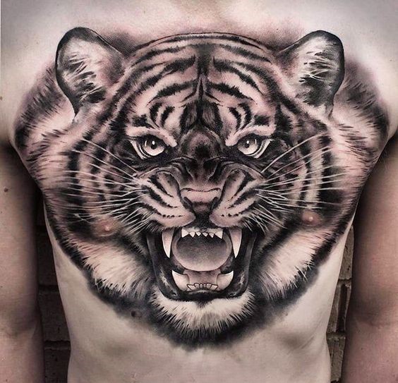Hình xăm đầu hổ trên ngực phong cách blackwork, chi tiết cao, độ phân giải HD.