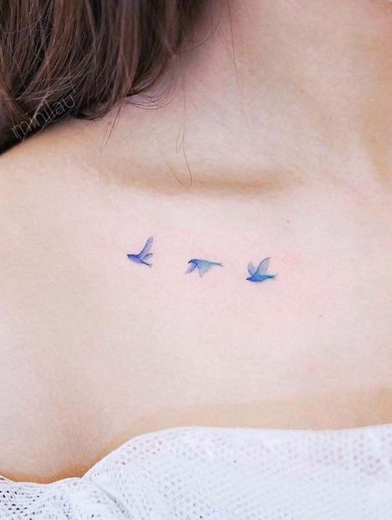Hình xăm chim mini trên xương quai xanh, phong cách màu nước, chi tiết tinh tế, độ phân giải HD.