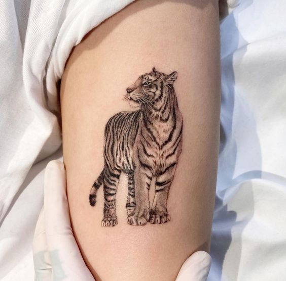 Hình xăm hổ chi tiết, phong cách blackwork trên cánh tay, độ phân giải HD.