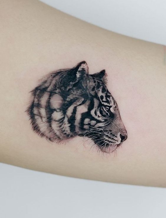 Hình xăm đầu hổ, phong cách blackwork, trên cánh tay, chi tiết rõ nét, độ phân giải HD.