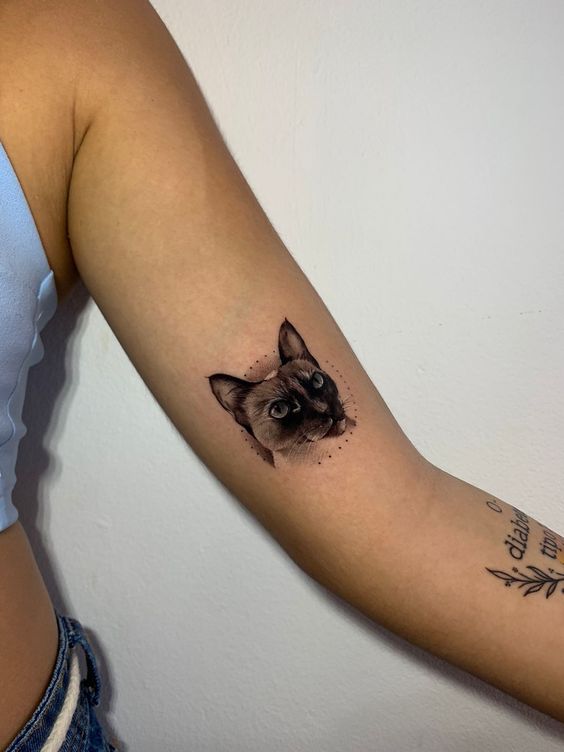 Hình xăm mèo trên tay kiểu blackwork chi tiết, ảnh HD.
