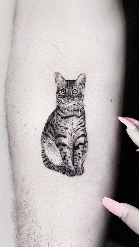 Hình xăm mèo blackwork chi tiết trên chân, phong cách tối giản, ảnh HD sắc nét.