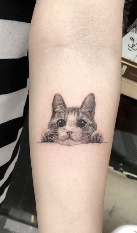 Hình xăm mèo trên cánh tay, phong cách blackwork chi tiết, ảnh độ phân giải HD.