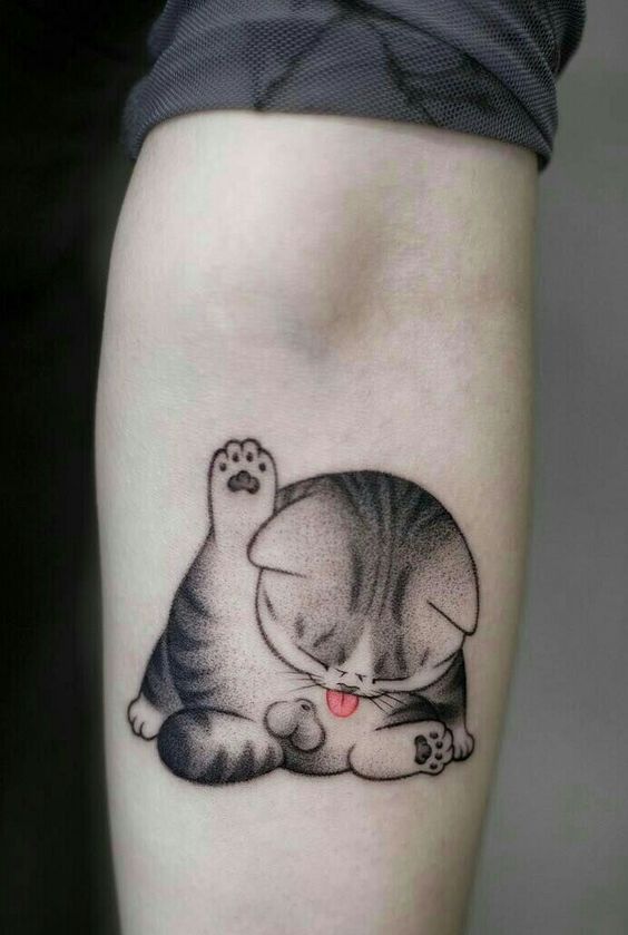 mẫu hình xăm trắng đen con mèo mũm mĩm Hình xăm mèo dễ thương trên tay, phong cách blackwork, chi tiết rõ nét, độ phân giải HD.