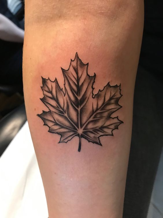 Mẫu tattoo lá phong trắng đen Hình xăm lá phong trên tay, phong cách blackwork chi tiết, ảnh HD.