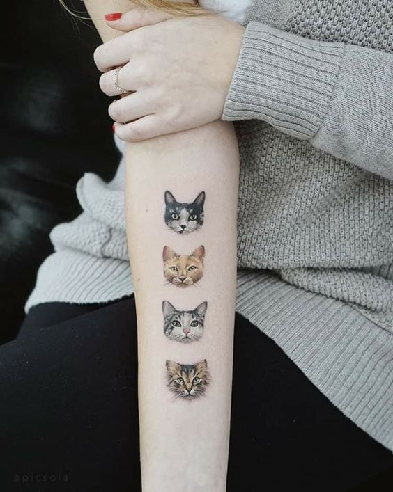 Hình xăm mèo trên cánh tay, phong cách màu sắc, chi tiết rõ nét, độ phân giải HD.