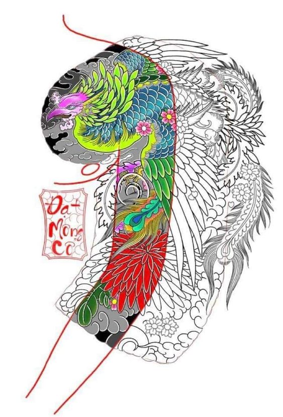 phác họa hình xăm phượng hoàng kín ngực và tay Hình xăm phượng hoàng màu sắc, phong cách Nhật Bản, vị trí cánh tay, chi tiết phức tạp, độ phân giải HD.