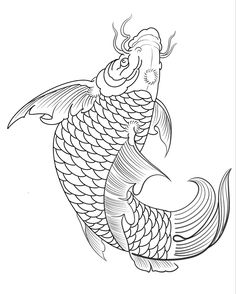 Thiết kế hình xăm cá chép Hình xăm cá chép phong cách blackwork, chi tiết cao, trên nền trắng, độ phân giải HD.
