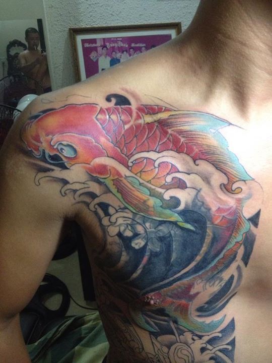 Tatoo cá chép ở ngực cho khách hàng Hình xăm cá chép màu sắc trên ngực, phong cách cổ điển, chi tiết cao, ảnh HD.