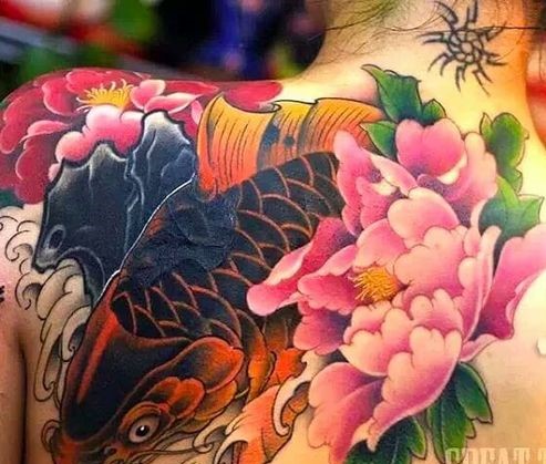 tattoo cá chép cam kết hợp họa tiết hoa mẫu đơn hồng cực chất Hình xăm cá chép và hoa mẫu đơn, vị trí trên vai, phong cách màu sắc, độ chi tiết cao, ảnh HD.
