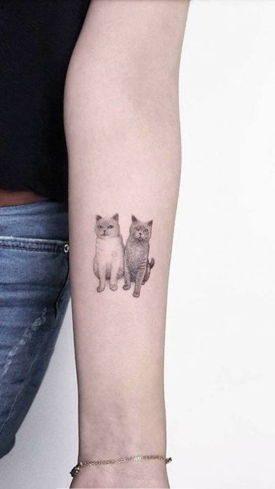 Hình xăm mini hai mèo trên cánh tay, phong cách blackwork, chi tiết rõ nét, độ phân giải HD.