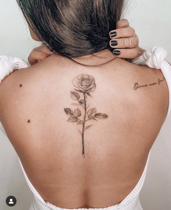Tattoo đơn giản nhẹ nhàng hình hoa hồng cho nữ Hình xăm hoa hồng trên lưng, phong cách blackwork, chi tiết rõ nét, độ phân giải HD.