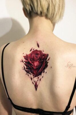 Tattoo hình hoa hồng đỏ sau lưng cho nữ Hình xăm hoa hồng đỏ trên lưng, phong cách màu nước, chi tiết sắc nét, ảnh HD.