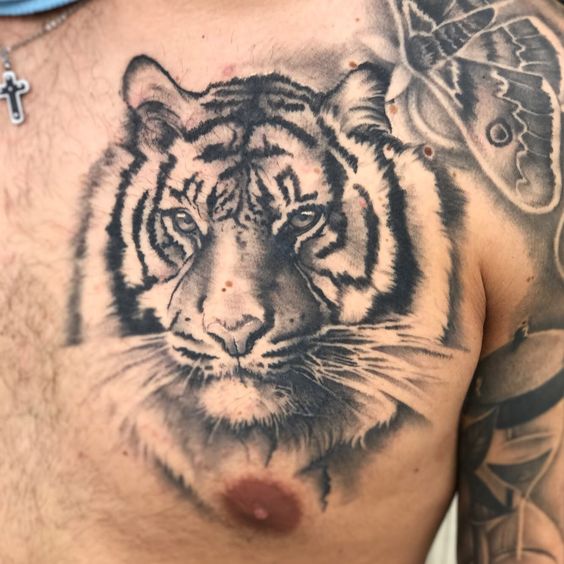 Hình xăm hổ phong cách blackwork trên ngực, chi tiết sắc nét, độ phân giải HD.