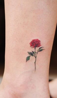Tattoo hoa hồng đỏ tinh tế Hình xăm hoa hồng mini trên mắt cá chân, phong cách màu sắc, chi tiết rõ nét, ảnh HD.