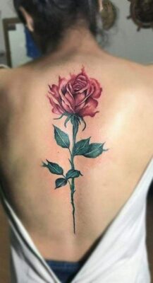 Tattoo hoa hồng giữa lưng cho nữ Hình xăm hoa hồng ở lưng phong cách màu nước, chi tiết sắc nét, độ phân giải HD.