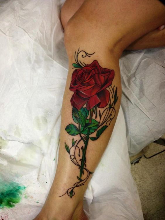 Tattoo hoa hồng ở bắp chân cho nữ Hình xăm hoa hồng màu sắc trên chân, phong cách cổ điển, chi tiết rõ nét, độ phân giải HD.