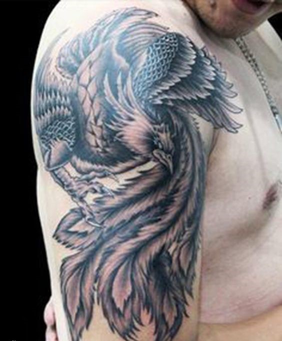 Tattoo phượng hoàng cực chất của anh khách Hình xăm chim trên bắp tay, phong cách blackwork chi tiết, độ phân giải HD.