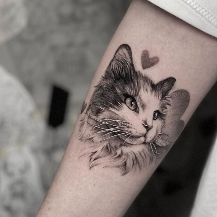 Hình xăm mèo trên tay, phong cách blackwork, chi tiết rõ nét, ảnh HD.