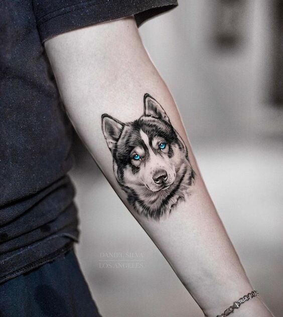 tổng hợp kiểu xăm sói đơn giản Hình xăm chó husky trên cánh tay, phong cách blackwork chi tiết, ảnh HD.