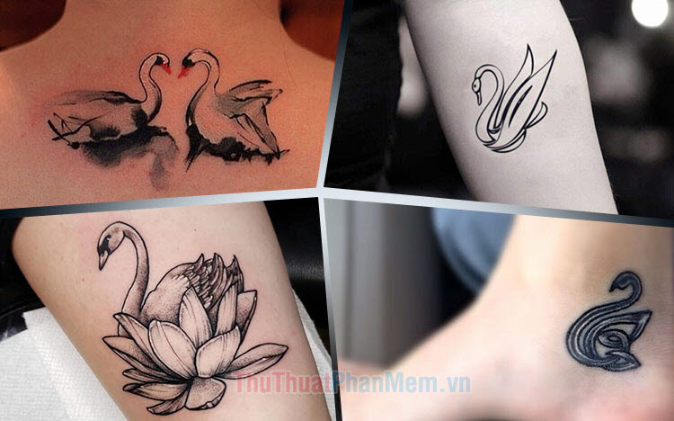 Tổng hợp những ý tưởng hình xăm thiên nga đẹp đẽ